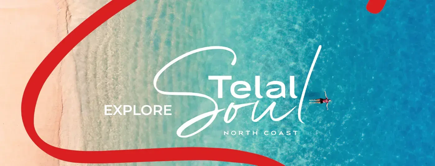 Telal Soul